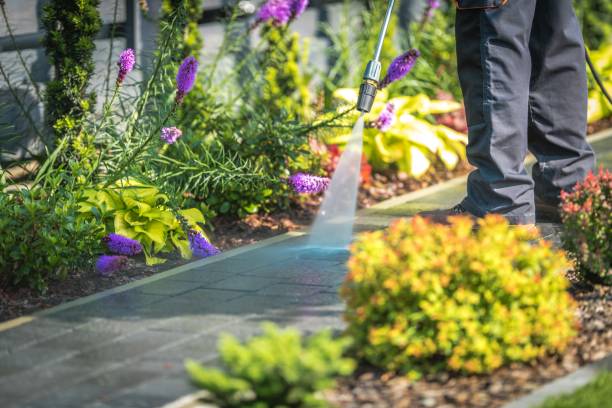 Best Spring Cleaning  in Vandalia, OH