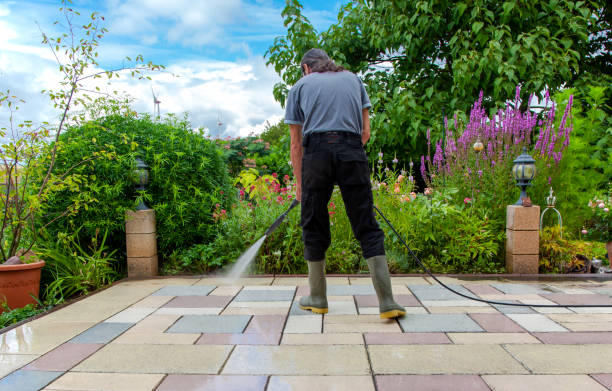 Best Winterizing Services  in Vandalia, OH